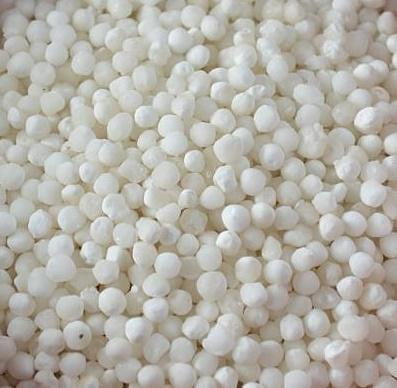 sago pearls